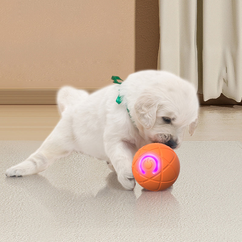 🐾 AUTO-BOUNCING SMART PET BALL WITH REMOTE CONTROL— 3 Interactive Modes | Chew-Resistant E-TPU | USB-C Rechargeable 🎾